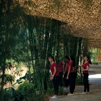 BAMBOO BAMBOO, CANOPY AND PAVILIONS, IMPRESSION SANJIE LIU in Yangshuo, China - by llLab. at ARKITOK - Photo #7 