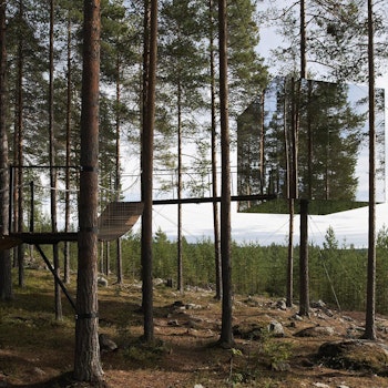 TREE HOTEL in Harads, Sweden - by Tham & Videgård Arkitekter at ARKITOK - Photo #4 