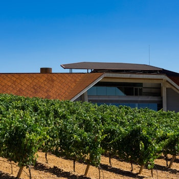 PORTIA WINERY in Gumiel de Izán, Spain - by Foster + Partners at ARKITOK - Photo #3 