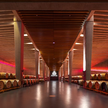 PORTIA WINERY in Gumiel de Izán, Spain - by Foster + Partners at ARKITOK - Photo #11 